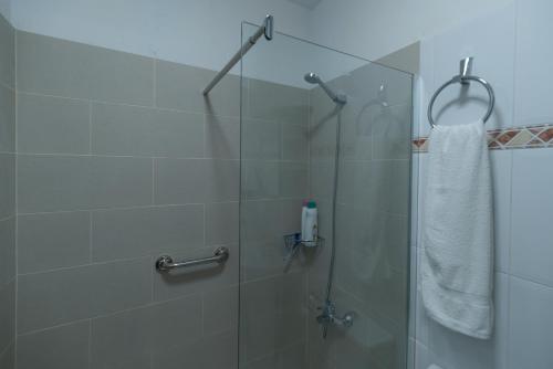 ducha con puerta de cristal y toalla en Apartamentos Leomar I, en Los Llanos de Aridane