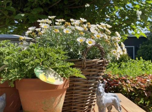 a basket filled with flowers on top of a table at Sfeervol familielandhuis in de groene Kempen in Baarle-Hertog