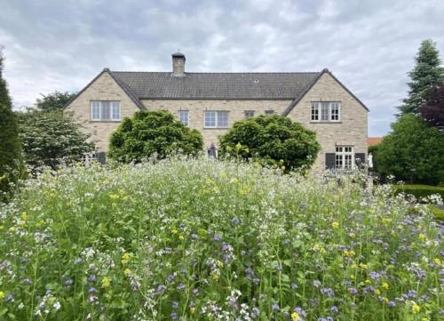 a house with a field of flowers in front of it at Sfeervol familielandhuis in de groene Kempen in Baarle-Hertog
