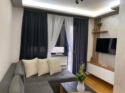 sala de estar con sofá gris y ventana en Apartman Sivcevic Titova VIla en Palisat