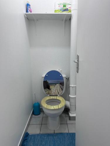 a small bathroom with a toilet with a mirror at Chambre d'hôte à 5Mn de l’aéroport in Les Abymes