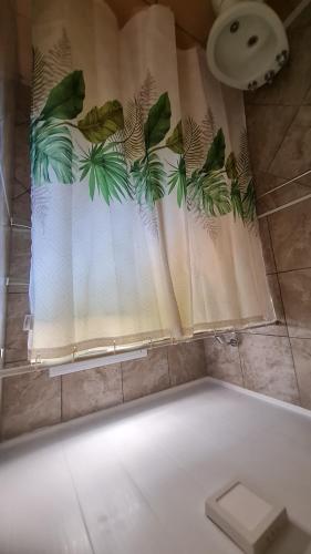 a shower with a window with a curtain with leaves at Vicky House in La Falda