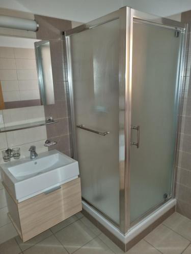uma casa de banho com um chuveiro e um lavatório. em Penzión Oponice em Oponice