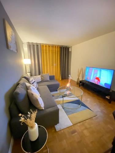 un salon avec un canapé et une télévision à écran plat dans l'établissement Superbe appartement proche de Paris, à Colombes