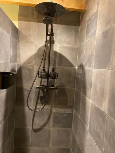 a shower in a bathroom with a shower head at B&B Stoet & Berre Geheel privé 1 - 4 pers in Assen
