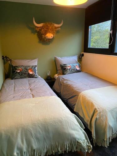 a room with two beds with a bull head on the wall at B&B Stoet & Berre Geheel privé 1 - 4 pers in Assen