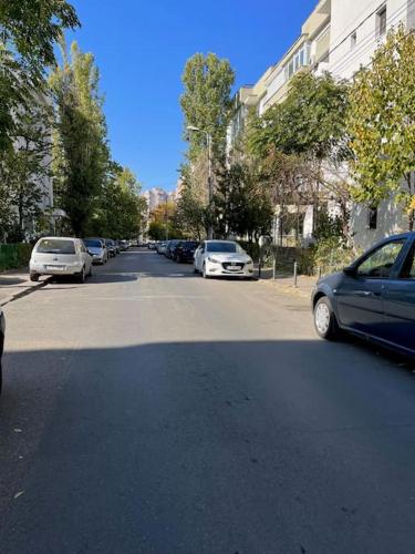 eine Straße mit am Straßenrand geparkten Autos in der Unterkunft Mall Vitan studio Eveline in Bukarest