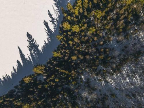 an overhead view of a group of trees on a mountain at Chalet DesignPur on the lake in Chertsey