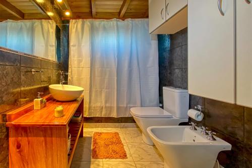 a bathroom with a sink and a toilet and a shower at CASA COIHUE in El Chalten
