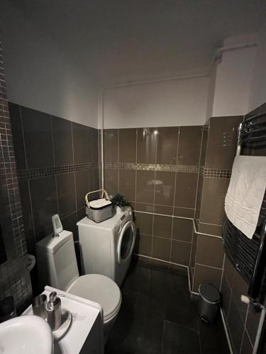 un baño con inodoro y lavabo en Mall Vitan studio Eveline, en Bucarest