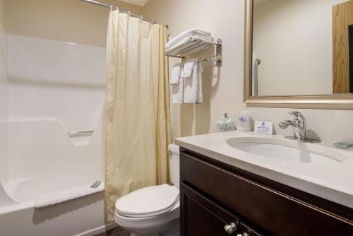a bathroom with a white toilet and a sink at Best Western Mt. Hood Inn in Government Camp