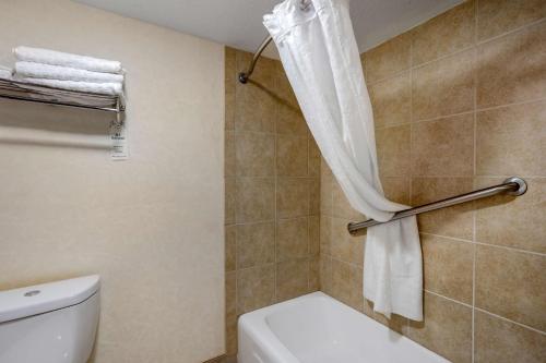 a bathroom with a toilet and a shower curtain at Best Western Inn of the Ozarks in Eureka Springs