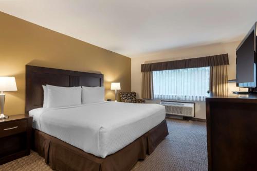 a hotel room with a large bed and a television at Best Western Plus Baker Street Inn in Nelson