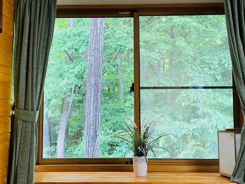 a window with a potted plant in front of it at Foresta Karuizawa 2 in Oiwake