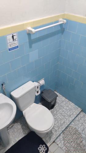 a blue bathroom with a toilet and a sink at Hostel da Floresta in Vitória