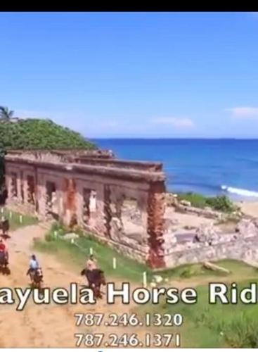 a building on a hill with the ocean in the background at Summer all year! Oceanfront with Pool A/C in Aguadilla