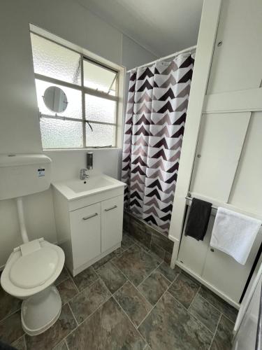 a bathroom with a toilet and a sink and a shower at Bings Motel in Blenheim