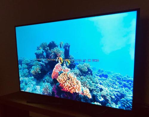 um ecrã de televisão com um peixe num recife em Los trinos em Coronel Suárez