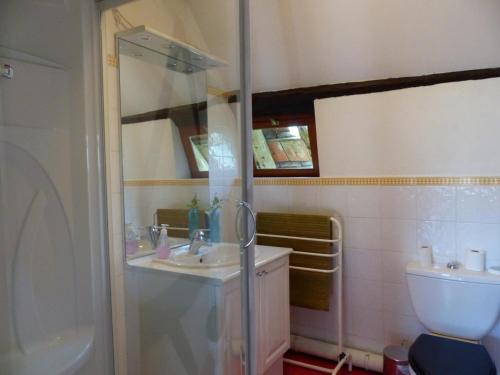 ein Bad mit einer Dusche, einem Waschbecken und einem WC in der Unterkunft Gîte Diou, 4 pièces, 7 personnes - FR-1-489-12 in Diou