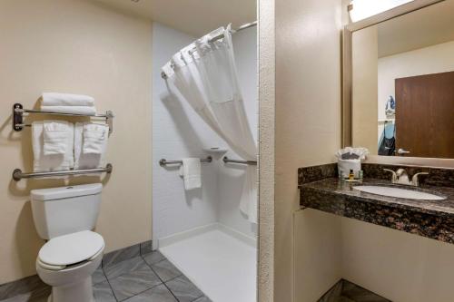 Best Western Airport Albuquerque InnSuites Hotel & Suites في ألباكيركي: حمام مع مرحاض ودش ومغسلة