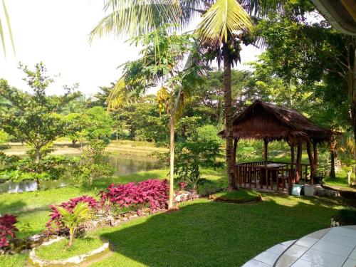 a garden with a gazebo and a pond at Sumatra Cheeky Monkeys in Bukit Lawang