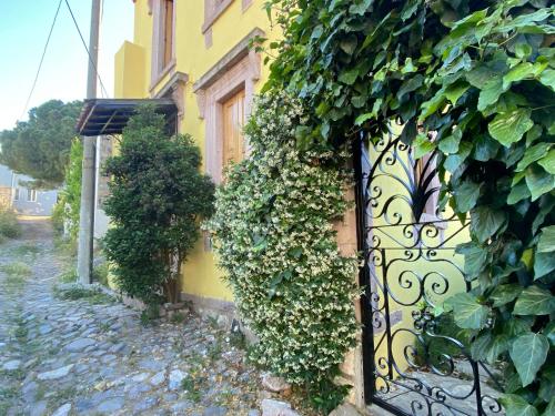 a yellow building with a gate covered in ivy at Stone House with Garden in Cunda/Ayvalik in Ayvalık