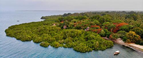 an island in the water with trees and a boat at Chole Mjini Treehouses Lodge in Utende