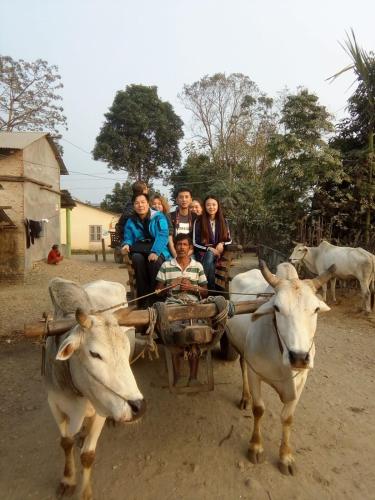 a group of people riding on a cart pulled by oxen at Crocodile Safari Camp in Chitwan