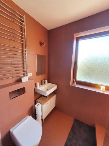 baño con aseo y lavabo y ventana en Útulný apartmán v srdci Krkonoš, en Jablonec nad Jizerou