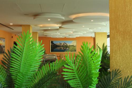 an office lobby with green plants in the foreground at Amarah Hotel in Muscat