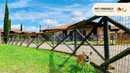 a dog standing behind a fence in front of a building at Casa in Maremma Tuscany Village in Scarlino