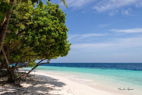 a beach with a tree and the ocean at Manta Reserve in Maalhos