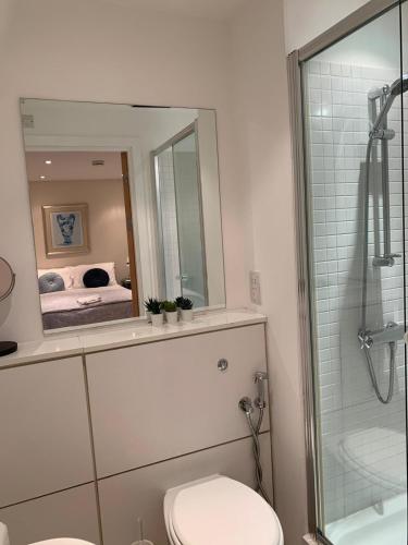 Un baño con inodoro, lavabo y espejo. en The Riding Gate Apartment, en Kent