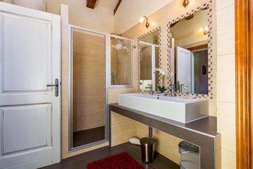 a bathroom with a white sink and a mirror at Villa Mala Kopa in Barban