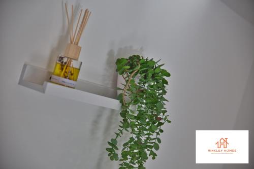 Φωτογραφία από το άλμπουμ του Cozy & Elegant 1bedroom House in Somerset Sleeps 2 By Hinkley Homes Short Lets & Serviced Accommodation σε Μπρίτζγουοτερ