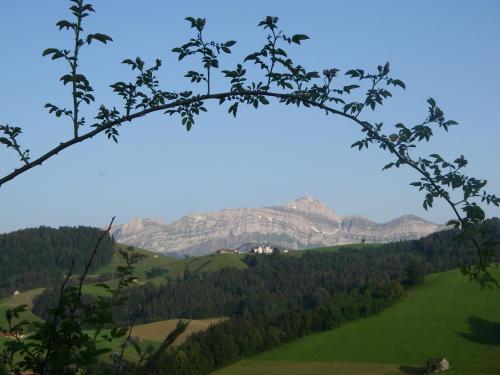 a view of the mountains from a tree branch at Schwellbrunn,Ferienwohnung mit Säntissicht in Schwellbrunn