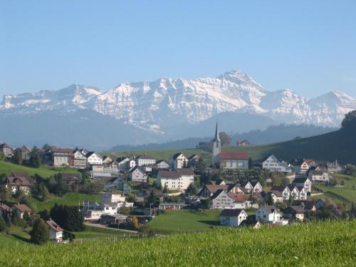 a town on a hill with a mountain in the background at Schwellbrunn,Ferienwohnung mit Säntissicht in Schwellbrunn