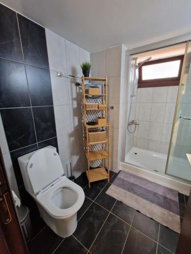 a bathroom with a toilet and a shower and a tub at The Belvedere Villa Latchi in Lachi