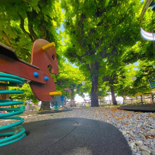 a playground in a park with trees and leaves at Guggital Hotel Restaurant in Zug