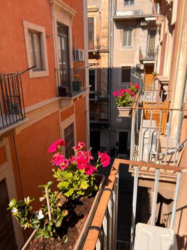 Apartamento con balcón con flores en Welcome Catania, en Catania