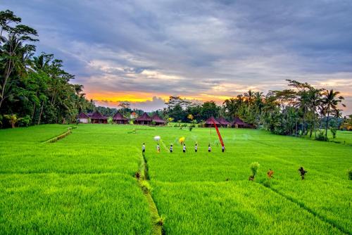 a field of green grass with houses in the background at Intan Villa & Suite Ubud in Ubud
