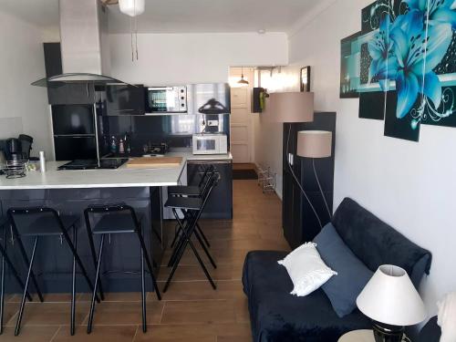 Il comprend une cuisine et un salon avec un canapé et un comptoir. dans l'établissement Appartement agréable à Argeles-sur-Mer 35 m² vue mer, à Argelès-sur-Mer