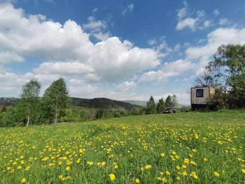 Příroda nedaleko luxury tent