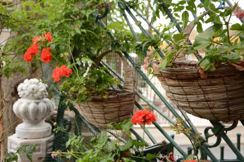 two baskets of flowers are hanging on a fence at Büyükada Anastasia Meziki History Mansion in Buyukada