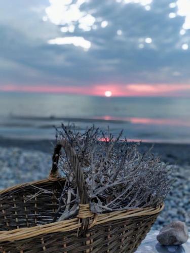 a basket on a beach with the ocean in the background at La Baigneuse maison avec jardinet et parking privé, à 200 m plage in Cayeux-sur-Mer