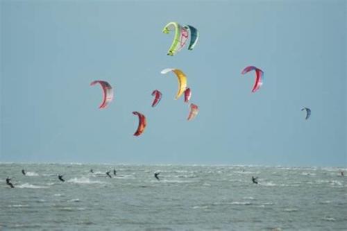a group of people flying kites in the ocean at La Baigneuse maison avec jardinet et parking privé, à 200 m plage in Cayeux-sur-Mer