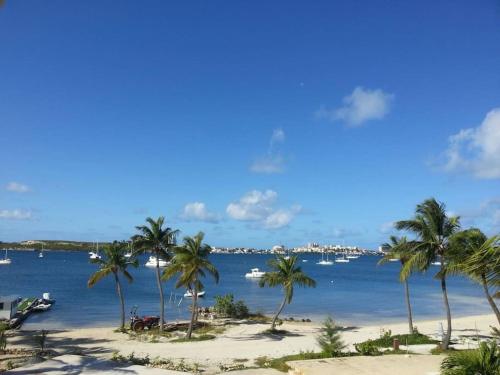 a beach with palm trees and boats in the water at Just in paradise in Baie Nettle