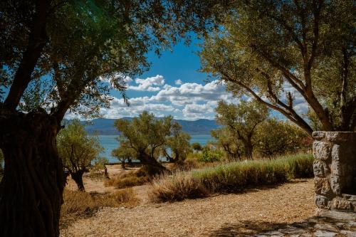 Φυσικό τοπίο κοντά σε αυτή η παραθεριστική κατοικία