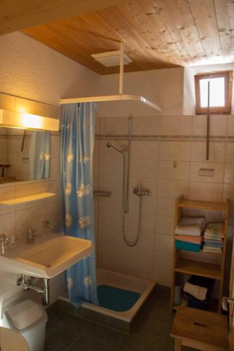 a bathroom with a shower and a sink and a toilet at Vichava 8, Süd in Ftan