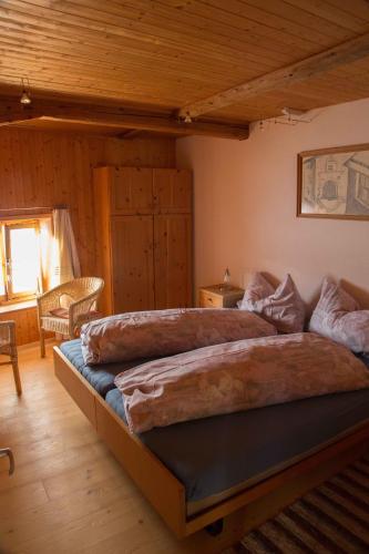 a bedroom with a large bed in a room at Vichava 8, Süd in Ftan